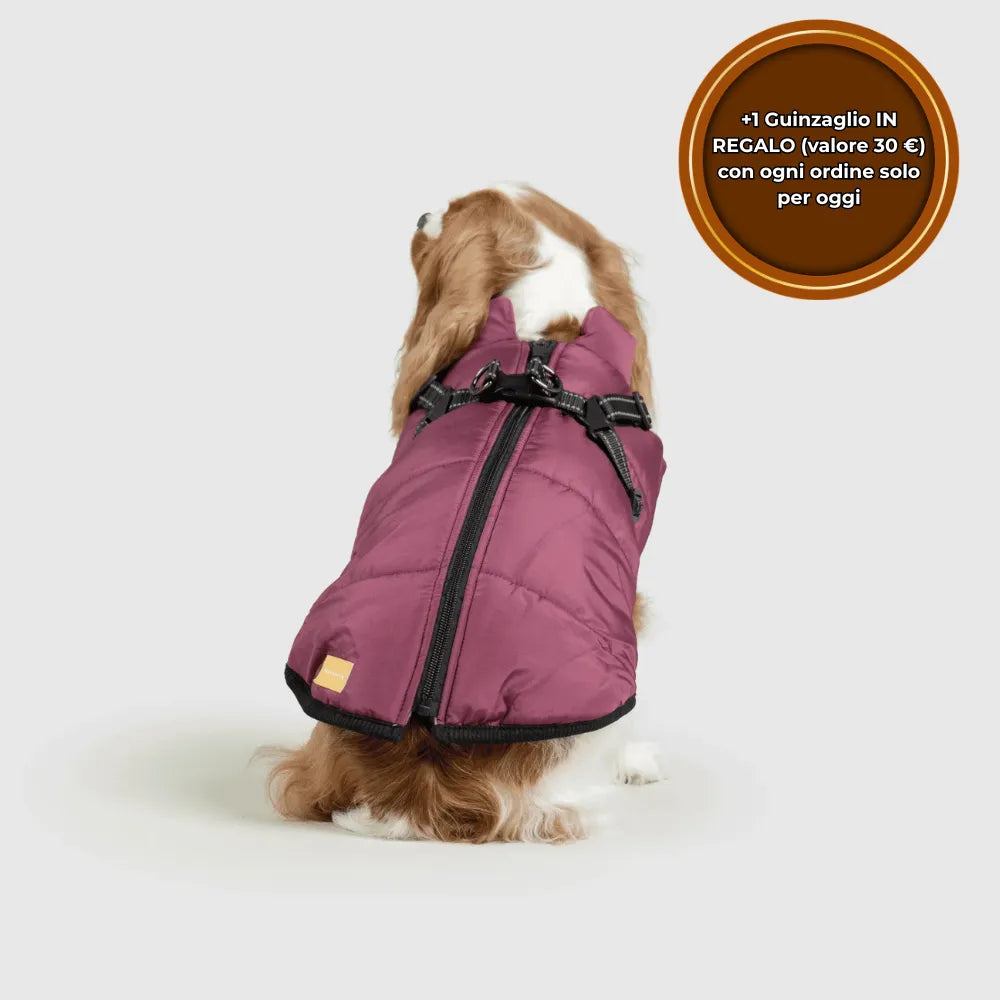 PeloCaldo™ - Giacca Invernale 3 in 1 per Cani