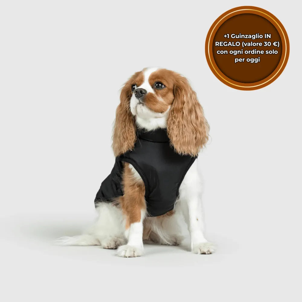 PeloCaldo™ - Giacca Invernale 3 in 1 per Cani