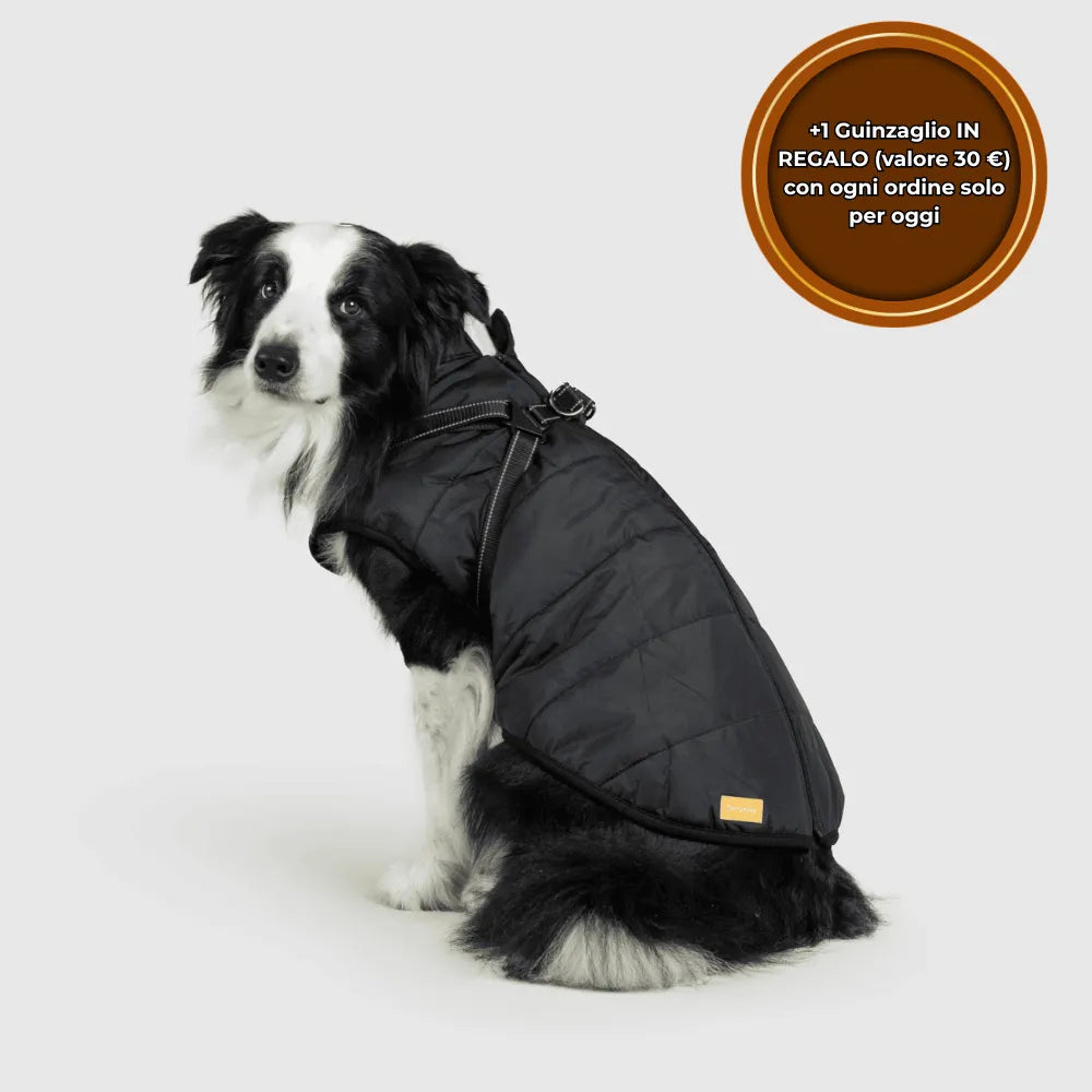 PeloCaldo™ - Giacca Invernale 3 in 1 per Cani