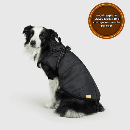 PeloCaldo™ - Giacca Invernale 3 in 1 per Cani