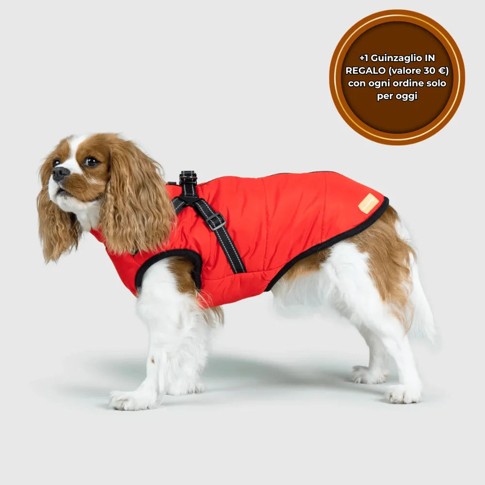 PeloCaldo™ - Giacca Invernale 3 in 1 per Cani