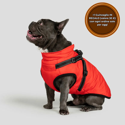 PeloCaldo™ - Giacca Invernale 3 in 1 per Cani