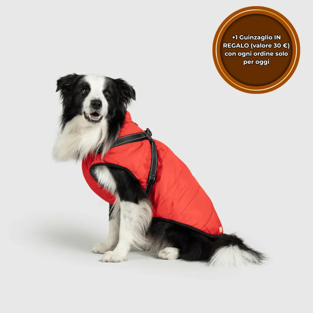 PeloCaldo™ - Giacca Invernale 3 in 1 per Cani
