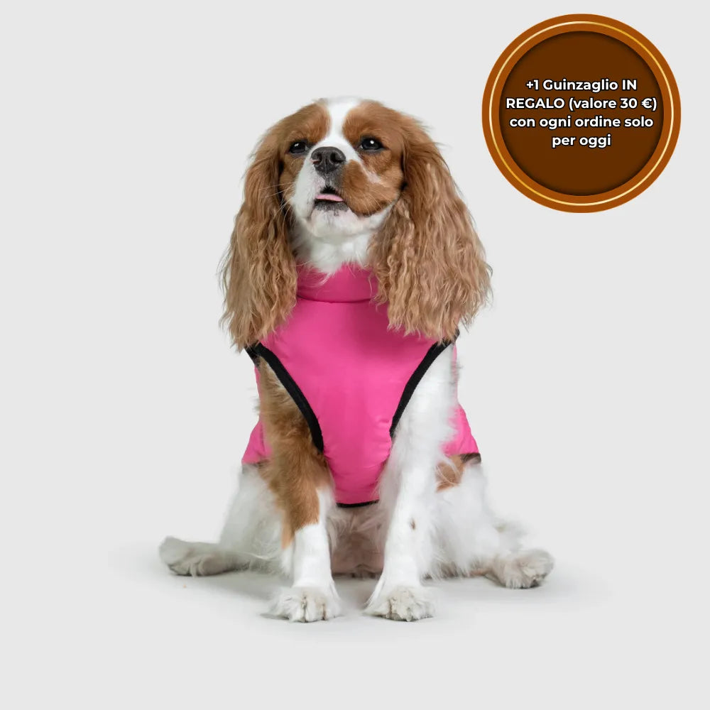 PeloCaldo™ - Giacca Invernale 3 in 1 per Cani