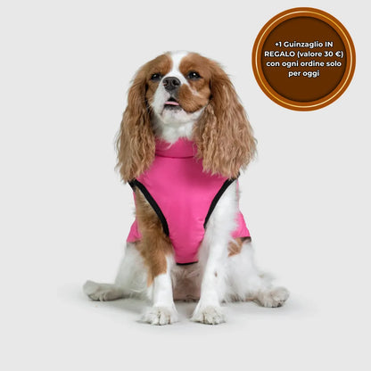 PeloCaldo™ - Giacca Invernale 3 in 1 per Cani