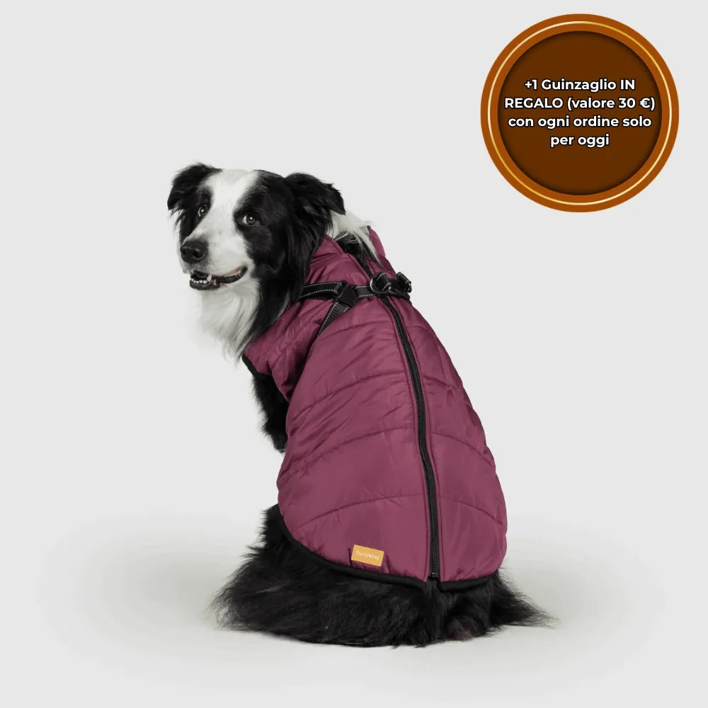PeloCaldo™ - Giacca Invernale 3 in 1 per Cani