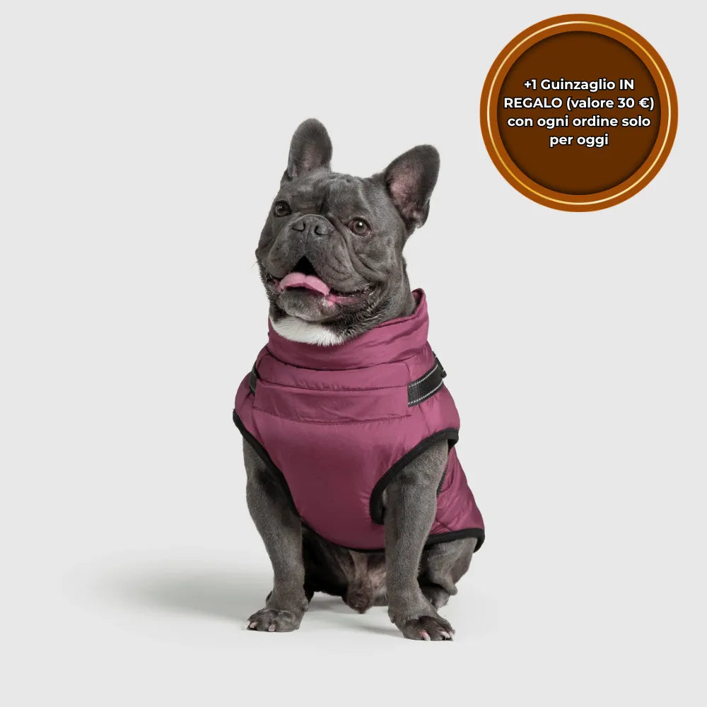 PeloCaldo™ - Giacca Invernale 3 in 1 per Cani