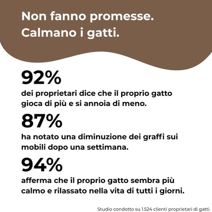 Tiragraffi interattivo per gatti