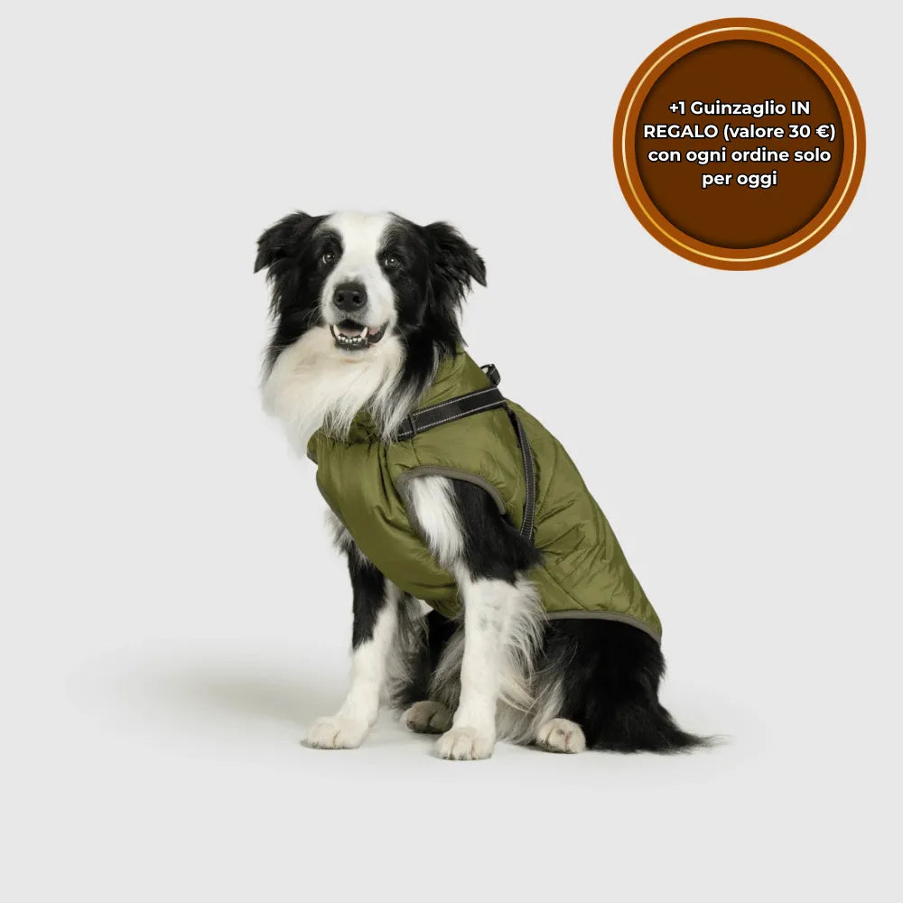 PeloCaldo™ - Giacca Invernale 3 in 1 per Cani