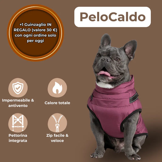 PeloCaldo™ - Giacca Invernale 3 in 1 per Cani